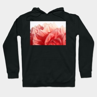 Passion Hoodie